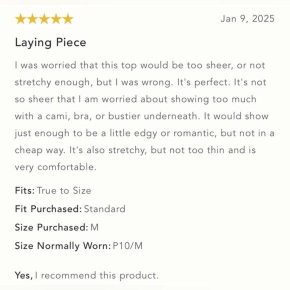 NWT Size M  By Anthropologie Mesh Turtleneck Top - Picture 11 of 15